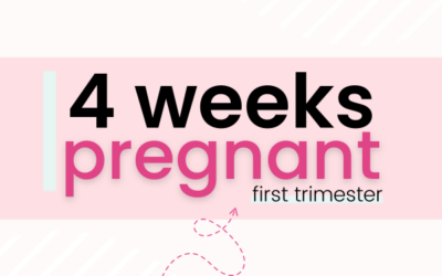 4 Weeks Pregnant