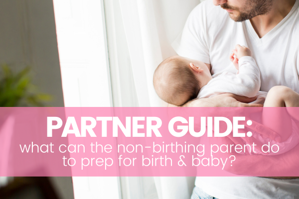 partners guide to baby and birth prep