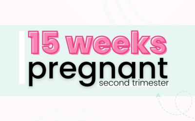 15 Weeks Pregnant