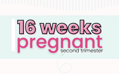 16 Weeks Pregnant