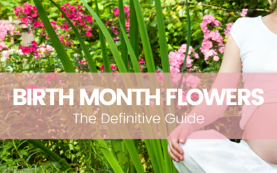 Birth Month Flowers: The Definitive Guide